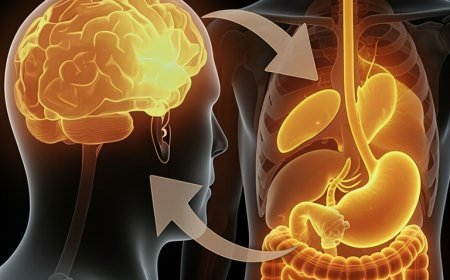 O intestino: o nosso segundo cérebro
