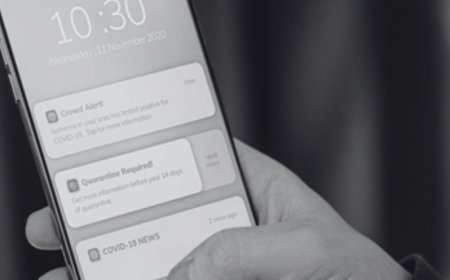 Sabias que as notificações activam o sistema de recompensa no cérebro?